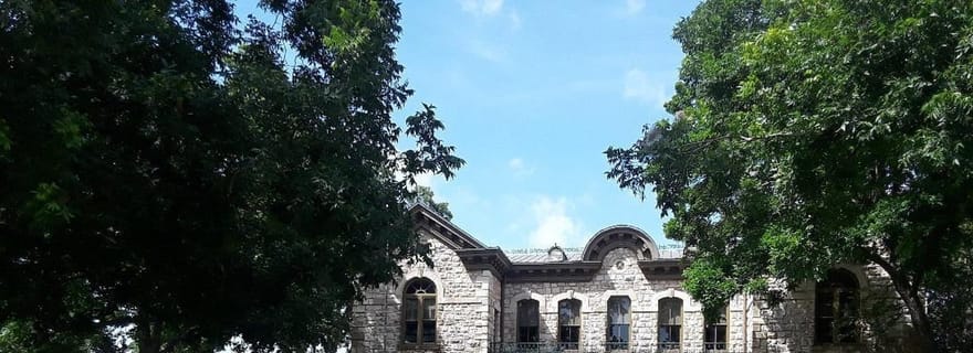 San Antonio : Excursion d'une journée dans la région des collines du Texas et à Fredericksburg