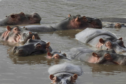 Arusha: 4-Day Ngorongoro, Tarangire, and Materuni Lodge Tour