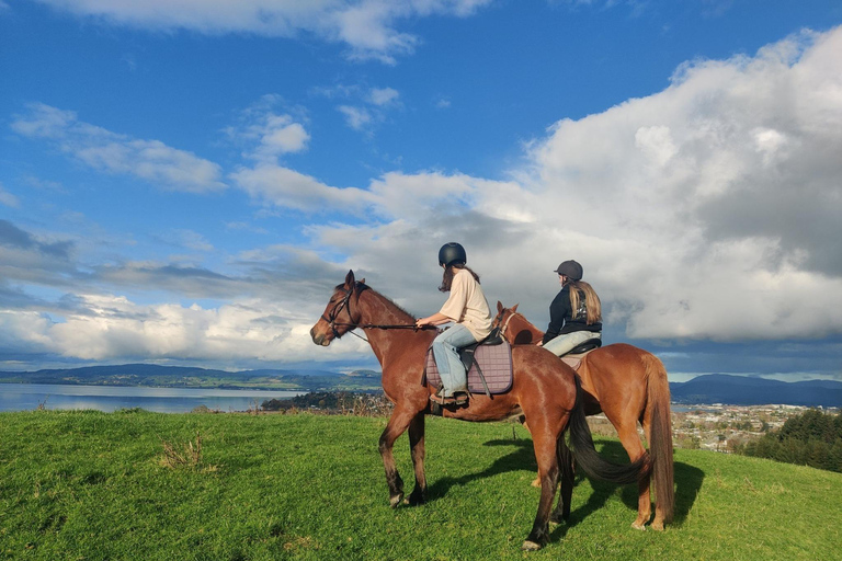Rotorua: passeggiata a cavallo panoramicaRotorua: escursione panoramica a cavallo