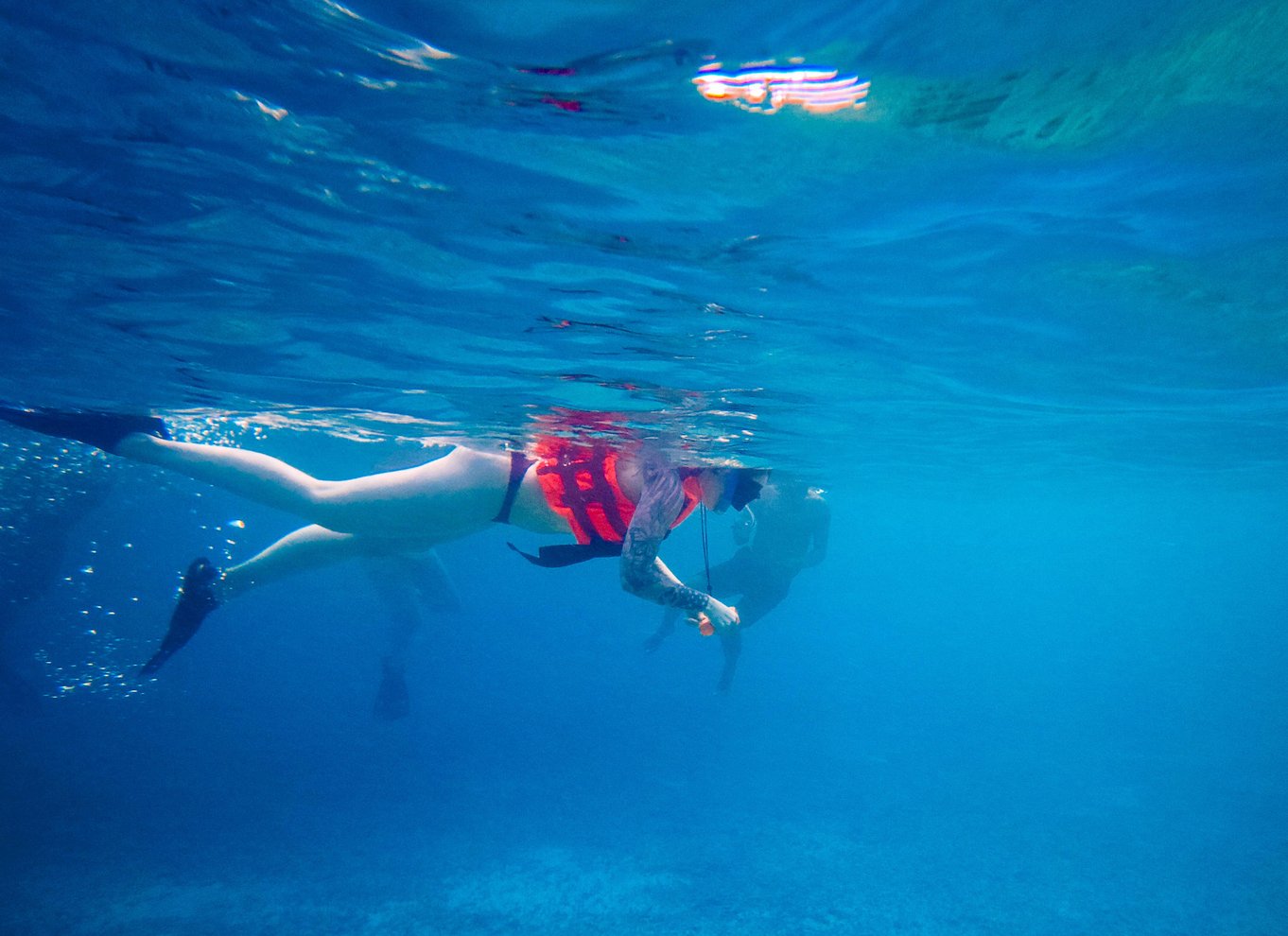 Tulum: Snorkling med skildpadder, koralrev og mayaruiner