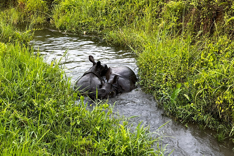 3 noites e 4 dias no Parque Nacional de Chitwan com estadia noturna na torre