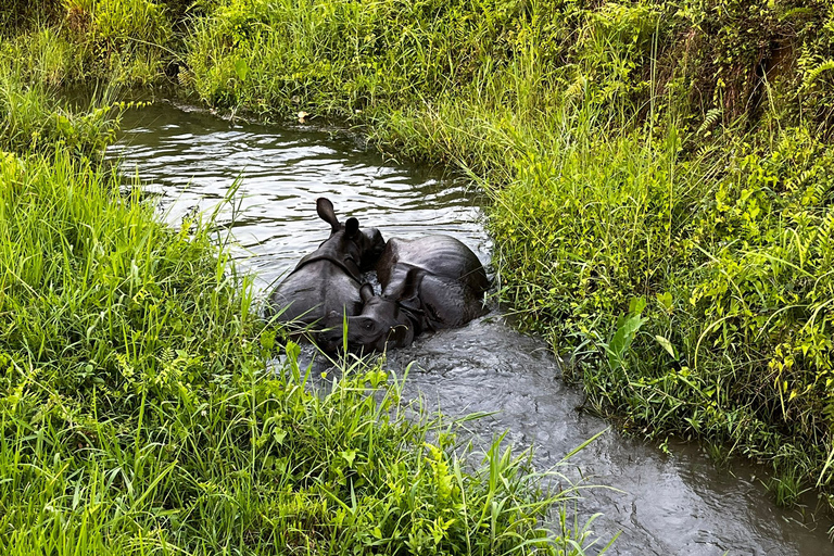 3 notti 4 giorni Parco nazionale di Chitwan con pernottamento nella torre