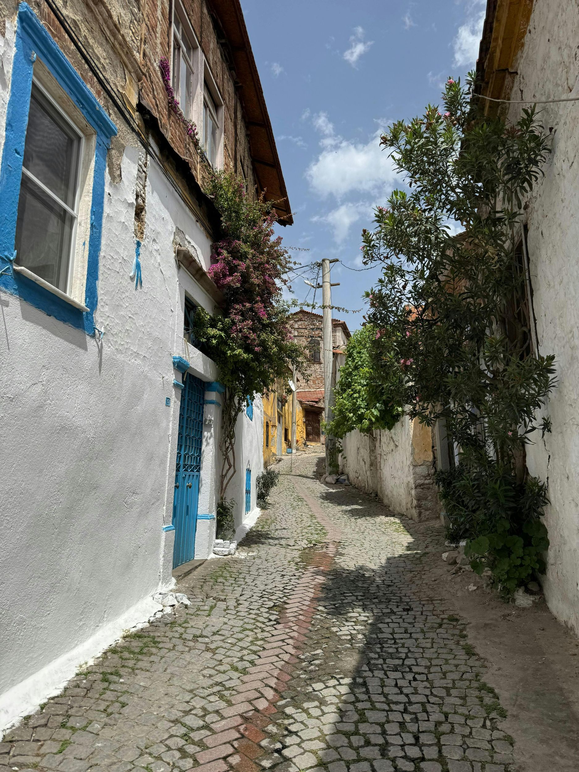 Izmir: Straßenkultur und das moderne Izmir – Privater Rundgang