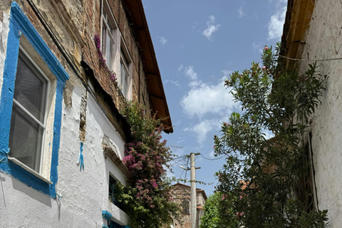 Izmir: Street Culture & Modern Izmir Private Walking Tour