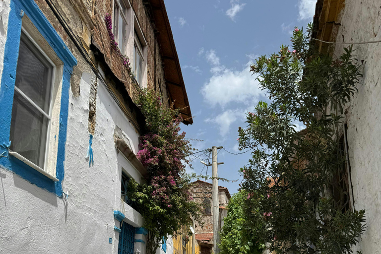 Izmir: Street Culture & Modern Izmir Private Walking Tour