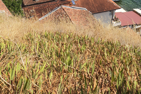 Ohrid Old City Private Guided Tour