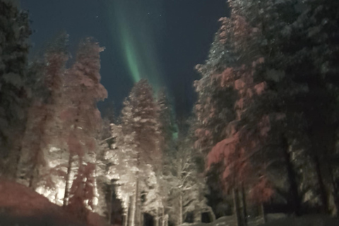 Helsinki: Light in the Dark Forest Experience Experience from Kerava