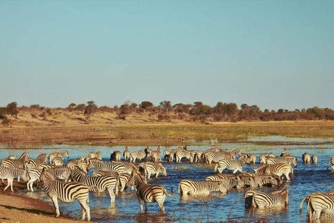 Excursión de un día a Chobe - Parque Nacional de Chobe Botsuana
