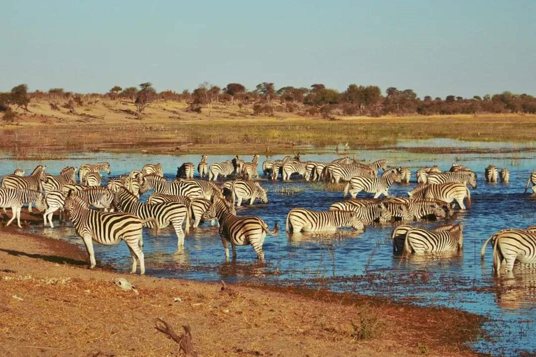 Excursión de un día a Chobe - Parque Nacional de Chobe Botsuana