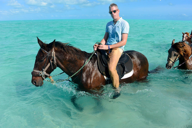 Barbados: Beach Horse Ride + Swimming + Picnic or Rum Tour Horse Ride with Rum Distillery Tour