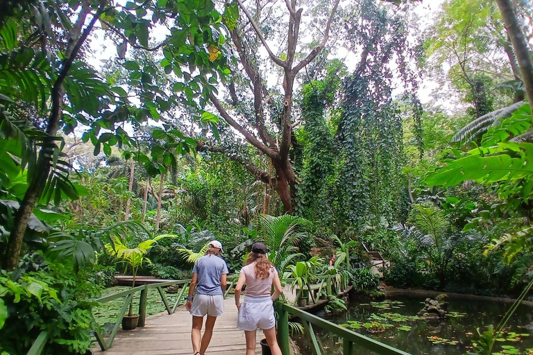 FIJI: Garden of the Sleeping Giant Tour InterContinental/Yatule/Yadua Bay/Shangri-La Pickup