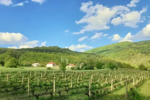 Careva Distillery: Taste Macedonian Brandies, Wines & Nature