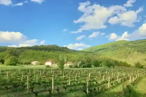 Careva Distillery: Taste Macedonian Brandies, Wines & Nature