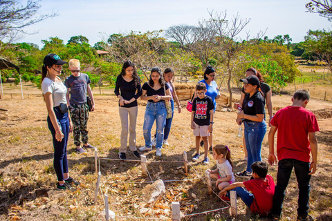 Los Santos, Panama: Wycieczka z przewodnikiem po Finca PamelPanama: Wycieczka z przewodnikiem po Finca Pamel