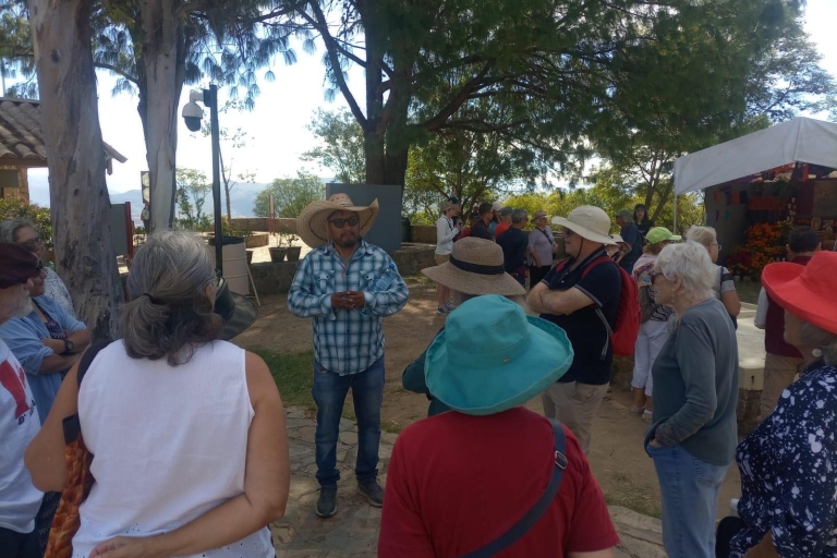 Monte Alban : Visite à pied basée sur des conseilsDepuis Oaxaca : Visite de Monte Alban