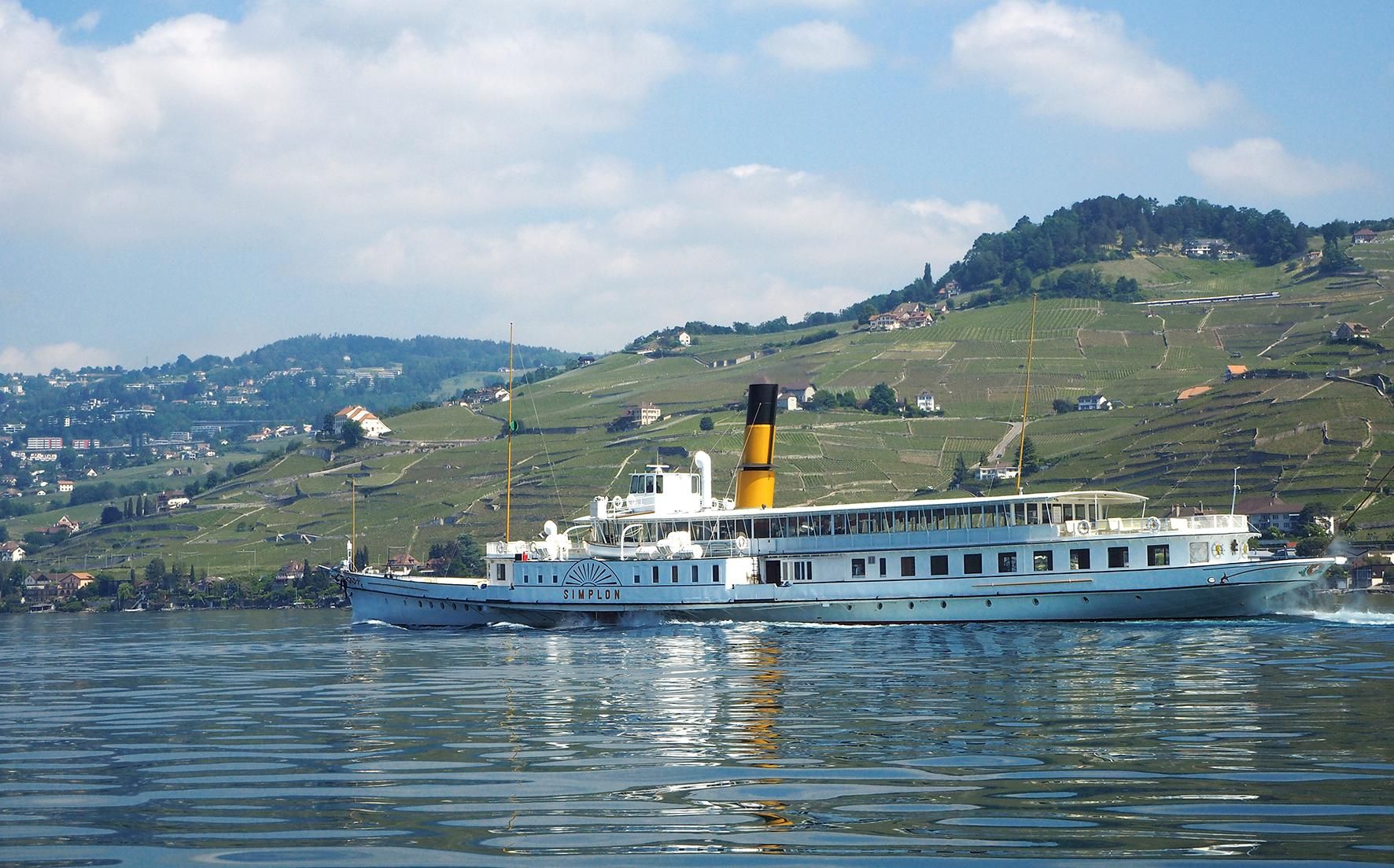 Lavaux: Erlebnis Weinberg