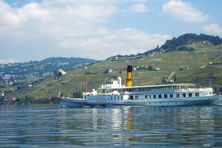 Experiencia en el Viñedo Lavaux