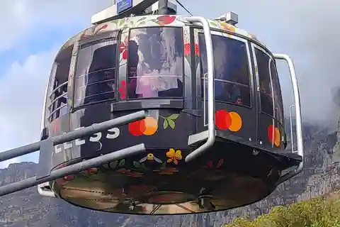 Cape Town: Table Mountain,Cape Point & Penguins Private Tour