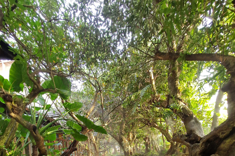 Excursión de un día en Chiang Mai I Cascada I Dantewada I Doi Suthep