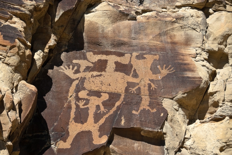 Jackson: recorrido por Grand Teton, borrego cimarrón y petroglifos