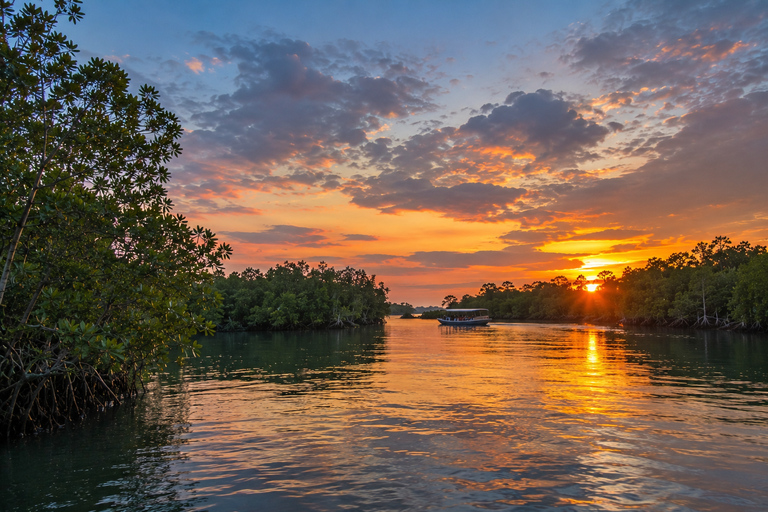 Semporna Mangrove Wildlife Cruise with FirefliesOptional ATV