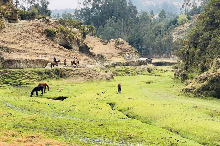 Wonchi Crater Lake: 2-Day Wellness Retreat