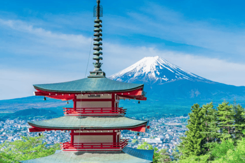From Tokyo: Private Day Trip to Mount Fuji and Hakone