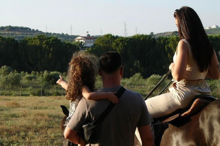 哈尼伊·克罗西特骑马之旅（含贝拉特接送服务）哈尼伊·克罗西特骑马游，贝拉特接送服务