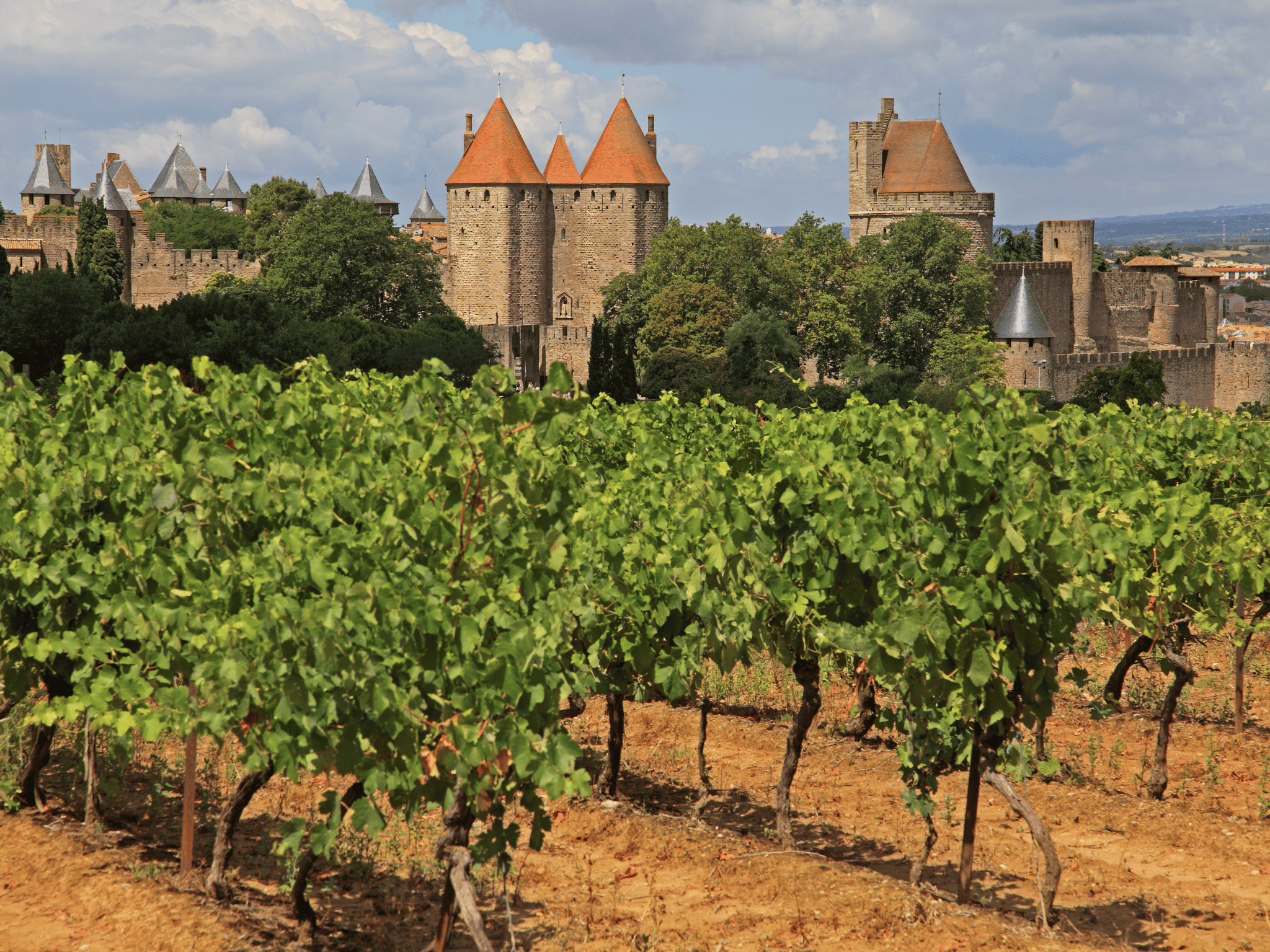 Barcelona: Tour Carcassonne & Girona