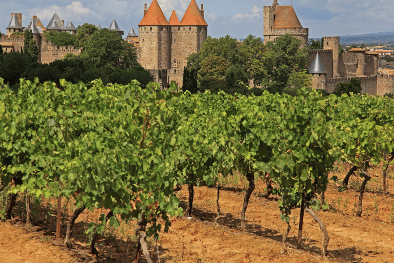 Barcelona: wycieczka do Carcassonne i Girony