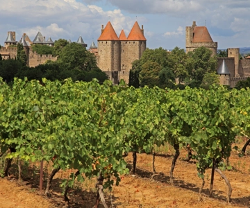 Barcelona: Carcassonne & Girona Tour
