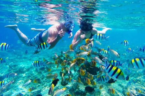 From Labuan Bajo: Sharing Snorkeling Activity With Speedboat Long day trip with speedboat and snorkeling