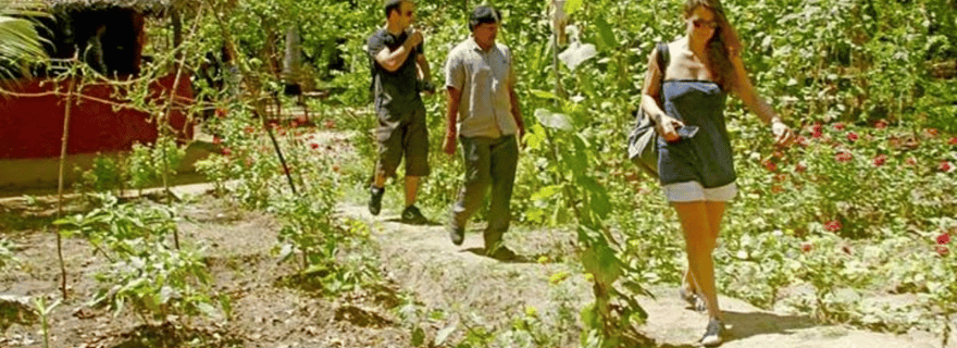 Visite tout compris du village de Dambulla avec déjeuner traditionnel