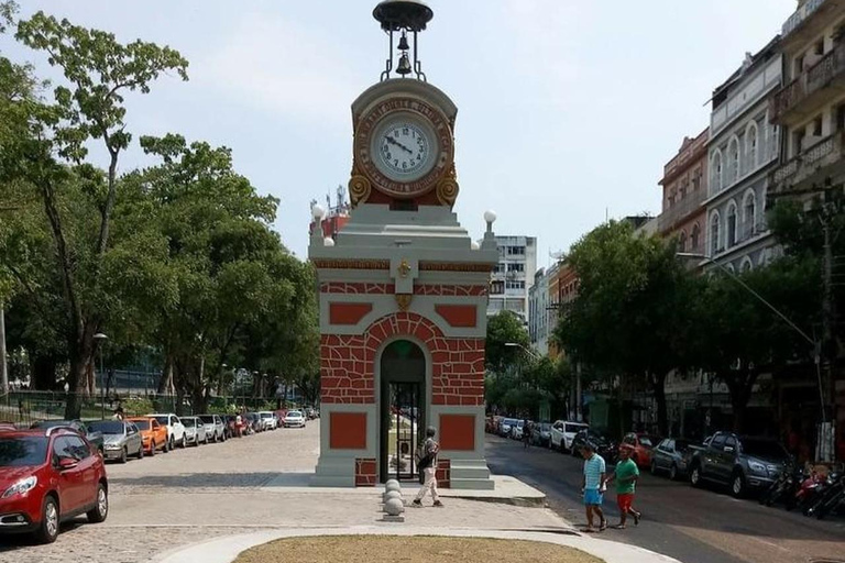 Manaus: Historic Center Guided Walking Tour