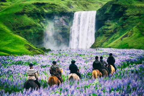 From Reykjavik: South Coast Waterfalls & Glacier Coach Tour Free pickup from Bus Stop #12