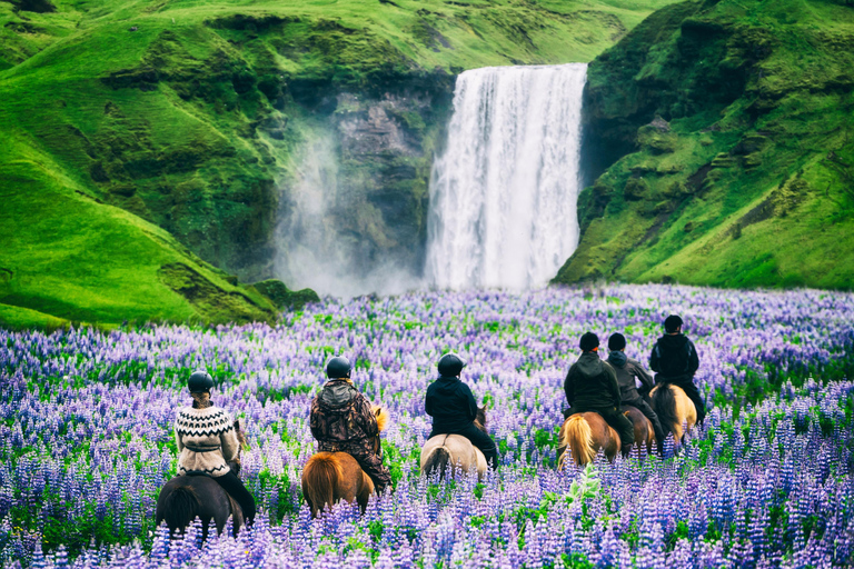 From Reykjavik: South Coast Waterfalls & Glacier Coach Tour Free pickup from Bus Stop #12