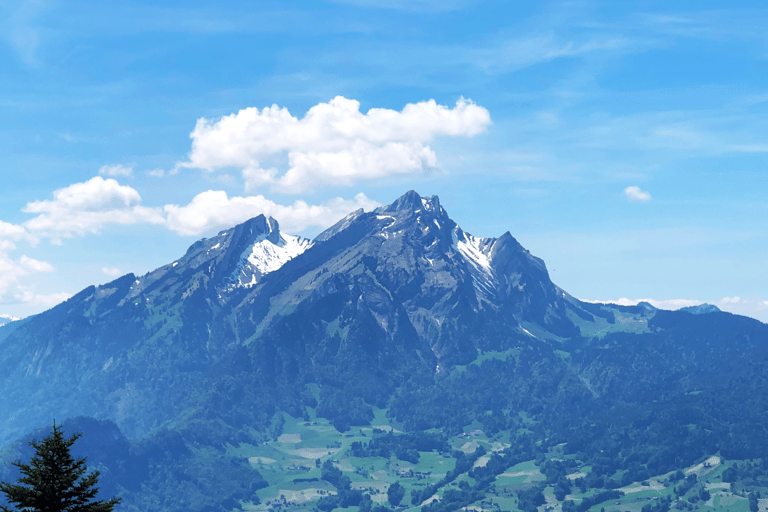 Zúrich: Excursión de un día a Lucerna y Bürgenstock