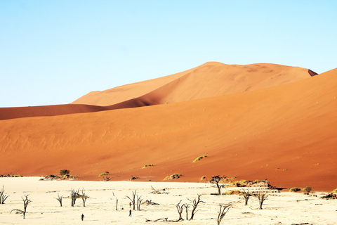 10 Days Taste of Namibia | Auto Tour Camping