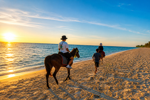Gili Trawangan: Horseback Ride with Photo & Video