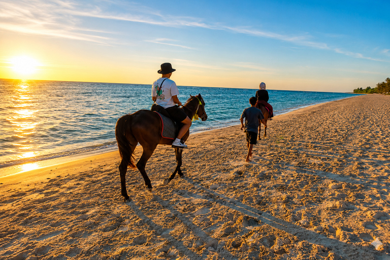 Gili Trawangan: Horseback Ride with Photo & Video