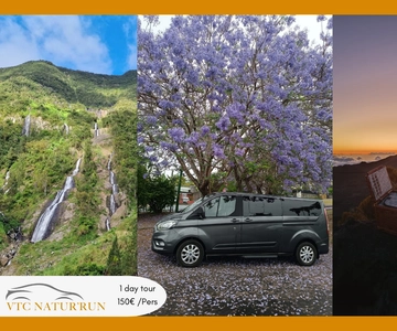 Île de la Réunion : Visite d'une jounée pour 4 personnes