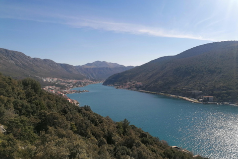 إطلالات دوبروفنيك وتجربة حديقة ترستينو النباتية