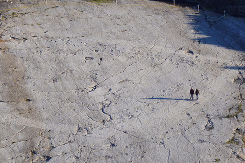 Lissabon: Dinosaurier-Fußabdrücke, Höhlen und Óbidos-TourTour für kleine Gruppen: Dinosaurierfußabdrücke, Höhlen und Óbidos