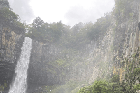 Da Tokyo: Tour privato di Nikko nel lusso del Prado Prezzo più basso