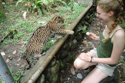 6 dias de aventura na Amazônia saindo de Iquitos