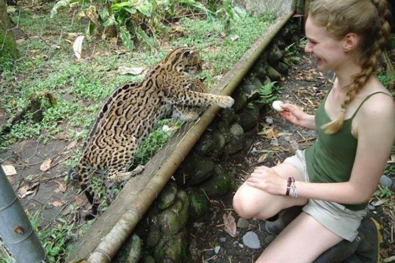 6 dagars äventyr i Amazonas från Iquitos