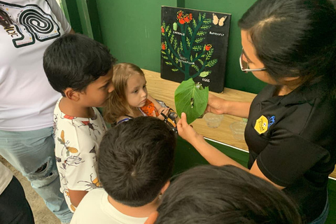 Boquete Butterfly House: Panama's Largest Butterfly Exhibit