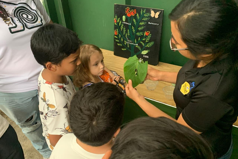Boquete Butterfly House: Panama's Largest Butterfly Exhibit