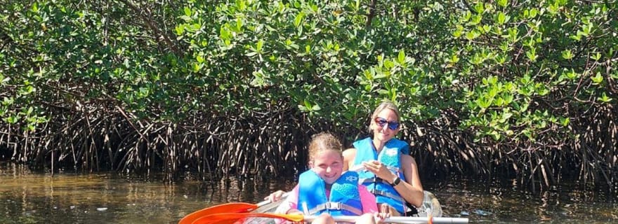 Explorez le tunnel magique de la mangrove de Bradenton en kayak transparent
