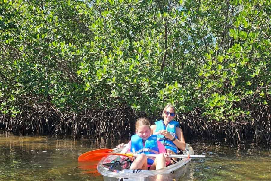 Bradenton: Abenteuertouren mit transparentem Kajak durch den Mangroventunnel. Foto: GetYourGuide